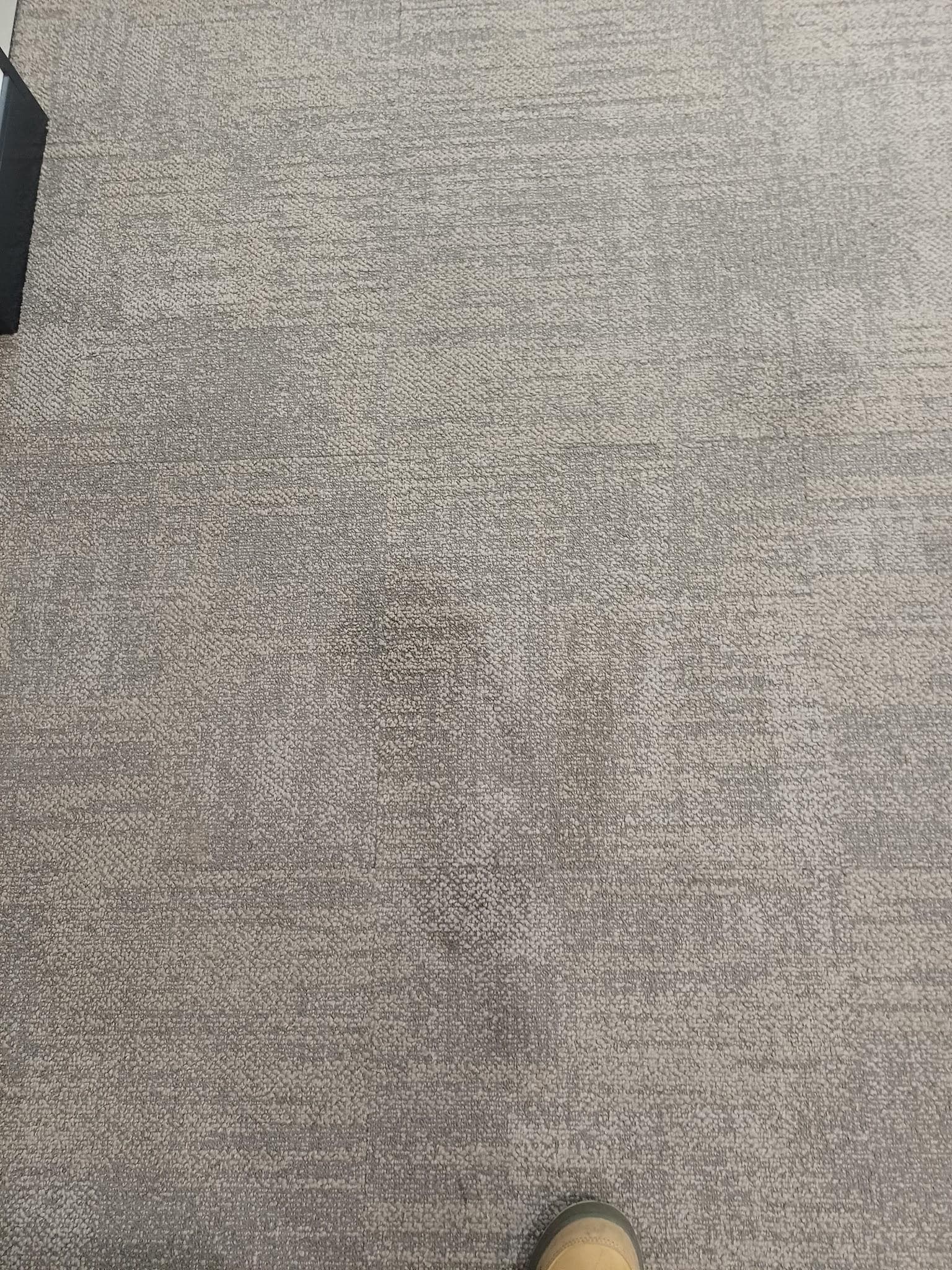 Carpet stain removal before