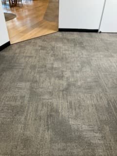 Office carpet refresh before